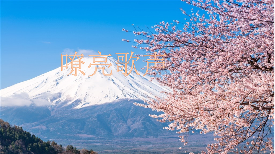 嘹亮歌声.pptx_第1页