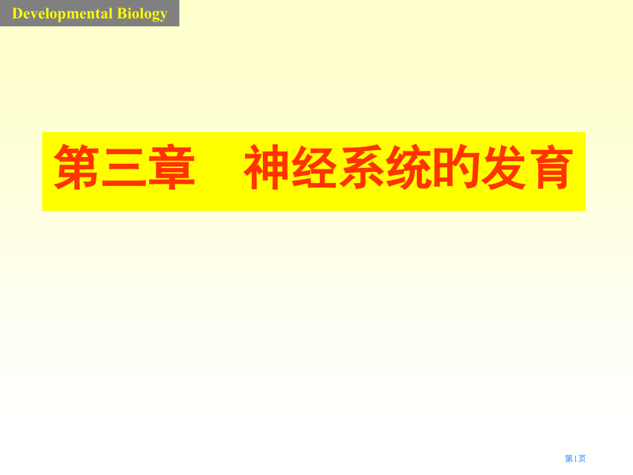 神经系统的发育.pptx_第1页