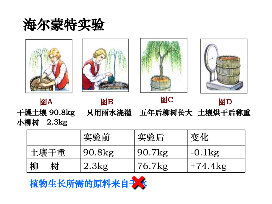 一轮复习光合作用.ppt_第2页
