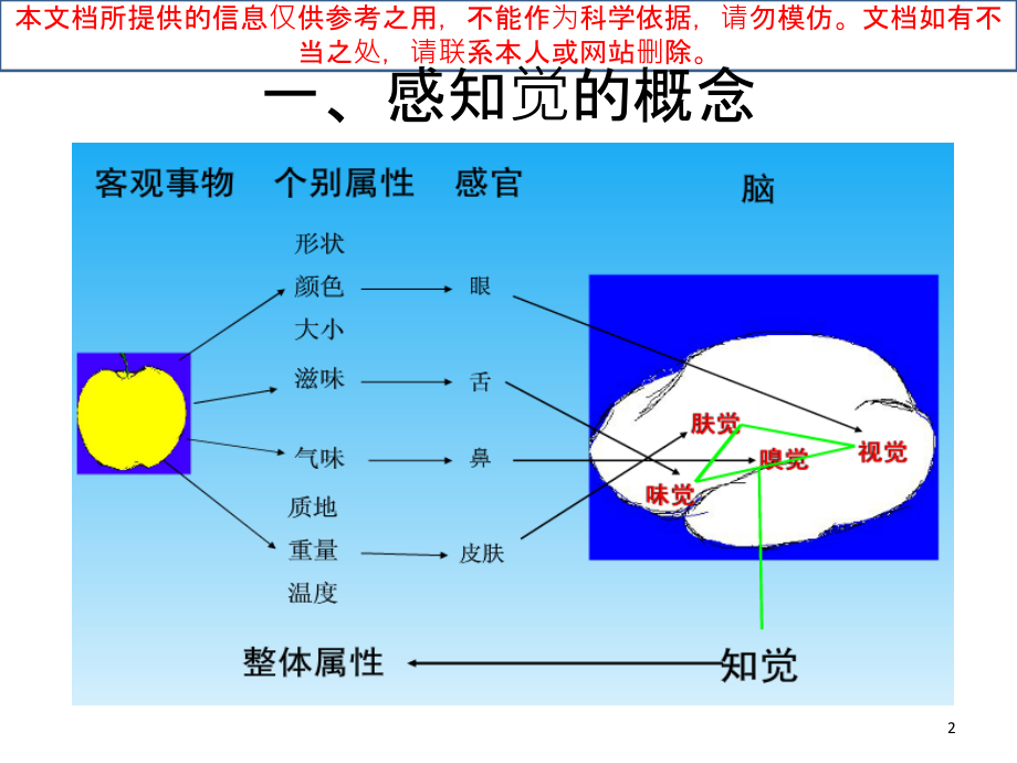 感知觉专题知识专业知识讲座.ppt_第2页