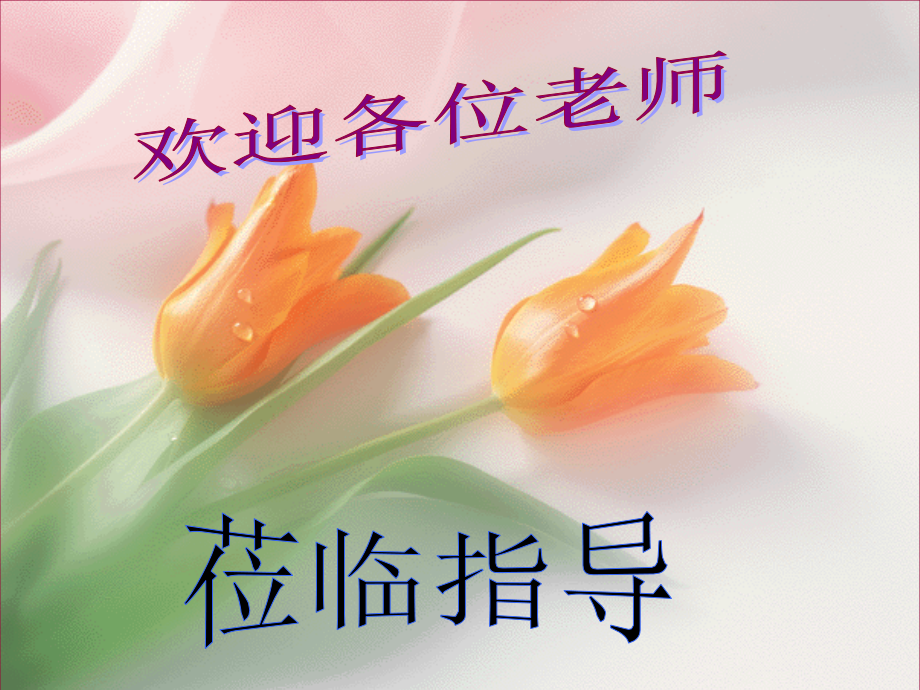 三角形面积的计算课件（人教版课标版五年级上册数学课件）.ppt_第1页