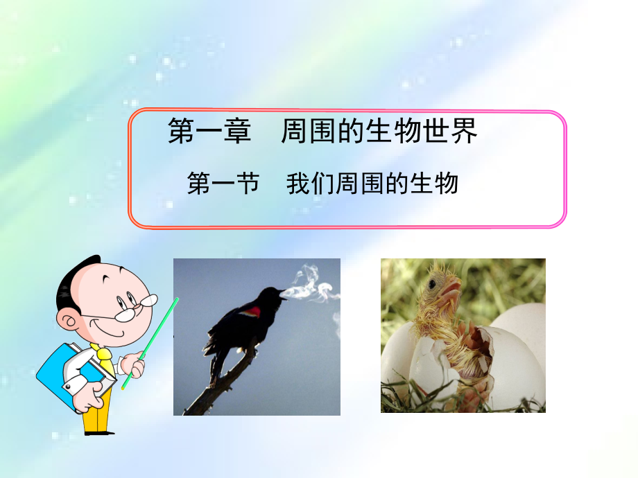 我们周围的生物课件苏教版.ppt_第1页