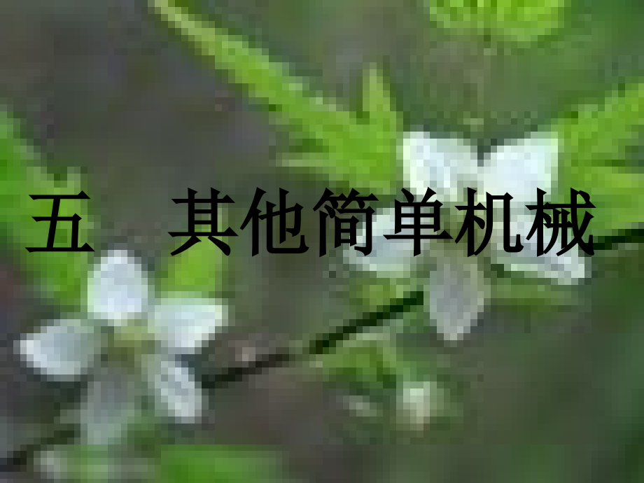 九物理其他简单机械.ppt_第1页
