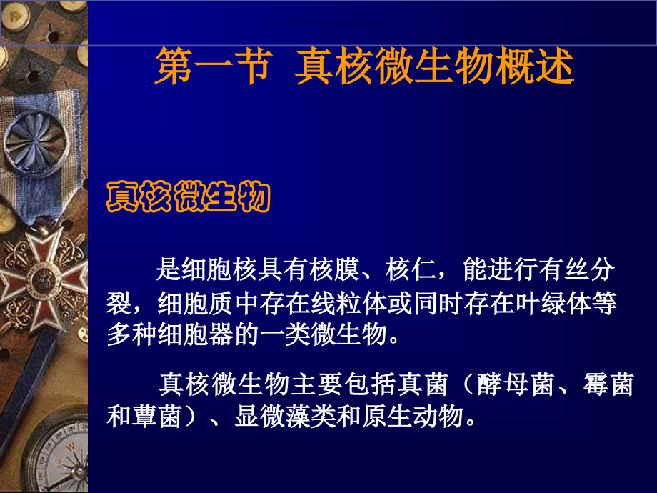 真核微生物.ppt_第1页