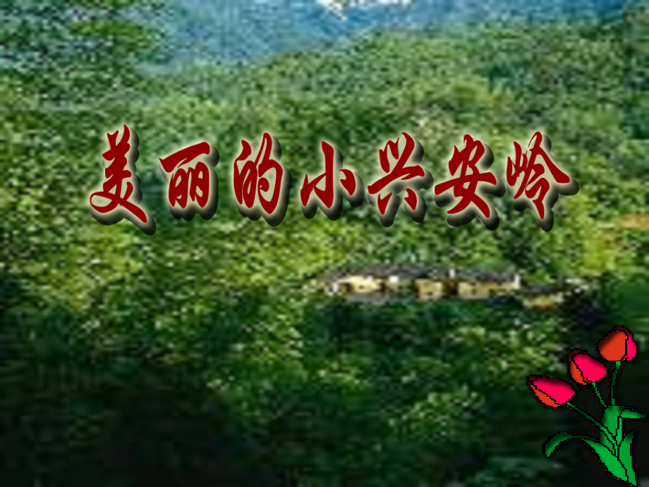 北师版小学三年级语文美丽的小兴安岭.ppt_第1页