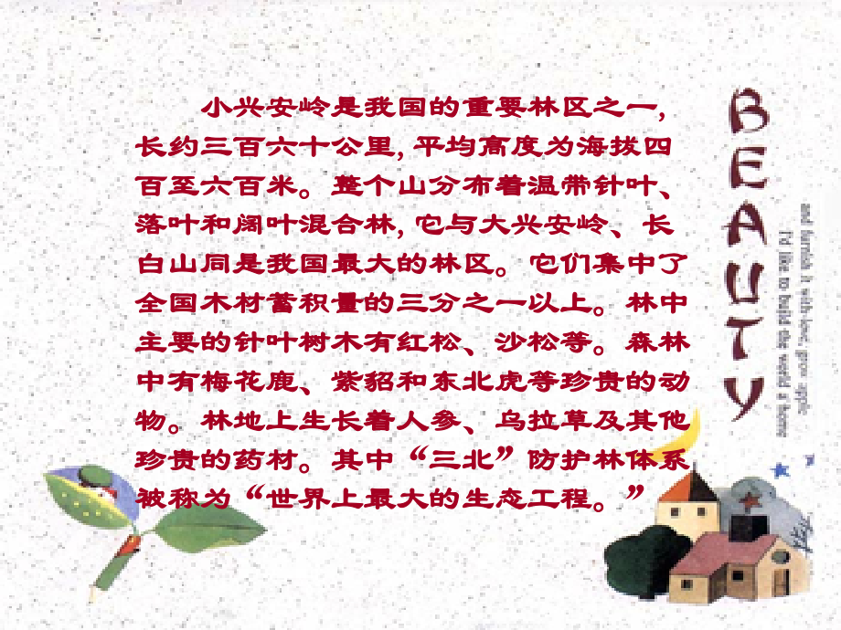 北师版小学三年级语文美丽的小兴安岭.ppt_第2页