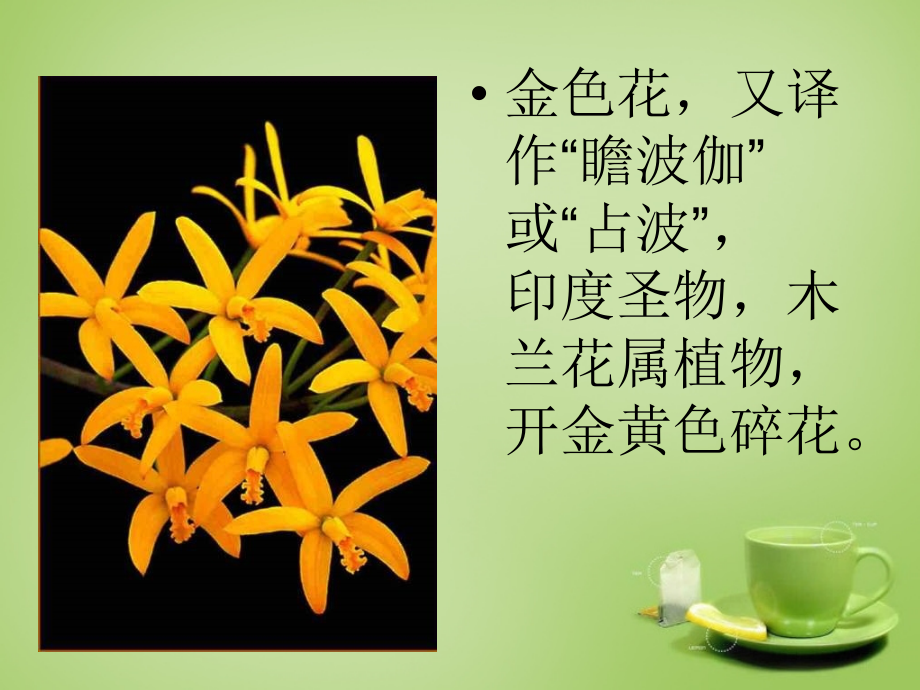 七年级语文上册 4(金色花)课件2 (新版)新人教版 课件.ppt_第2页