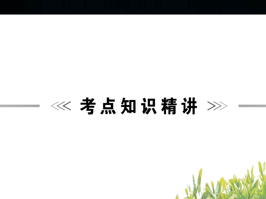 中考名词复习.ppt_第2页