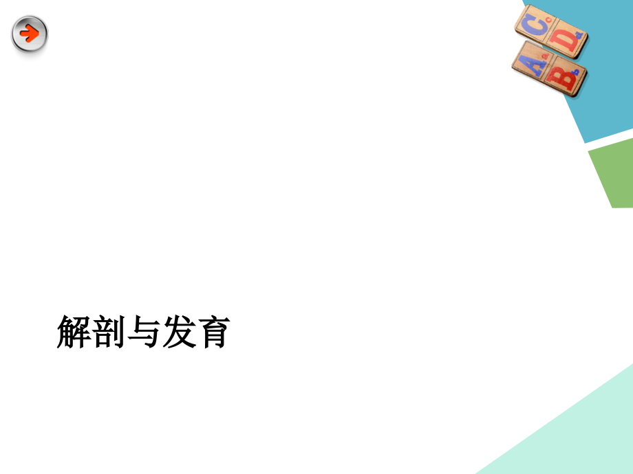 端脑11-3-25.ppt_第2页