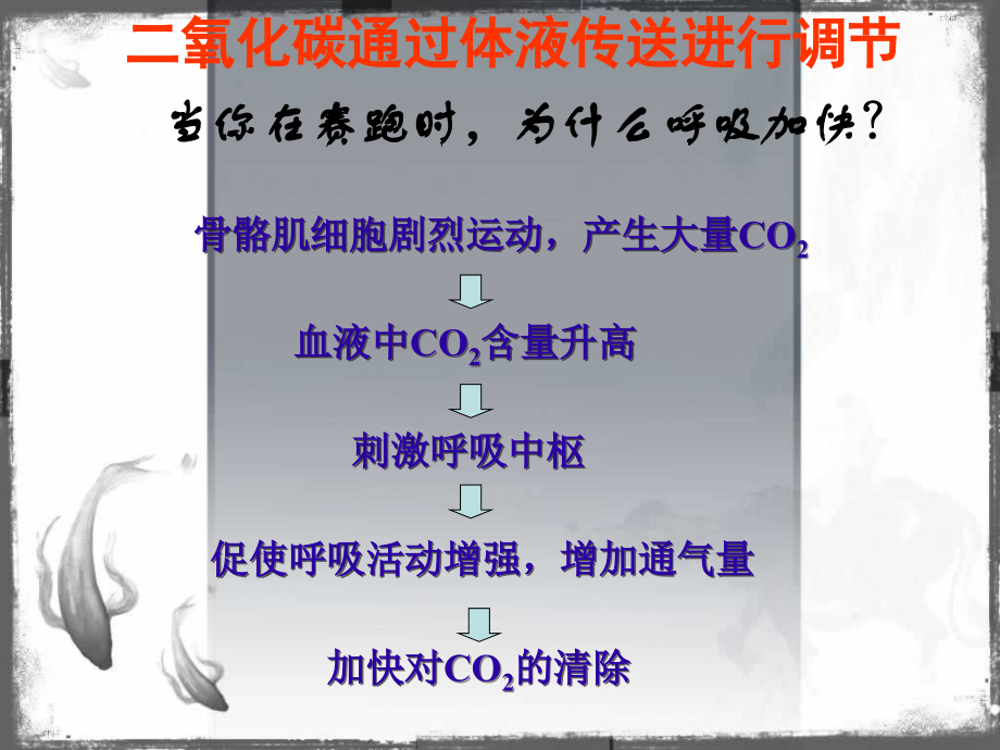 高等动物的内分泌系统与体液调节-.ppt_第1页