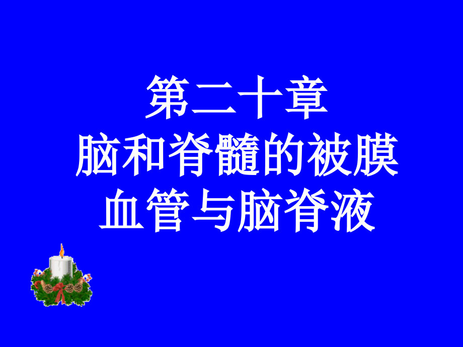 脑和脊髓被膜血管及脑脊液循环课件.ppt_第1页