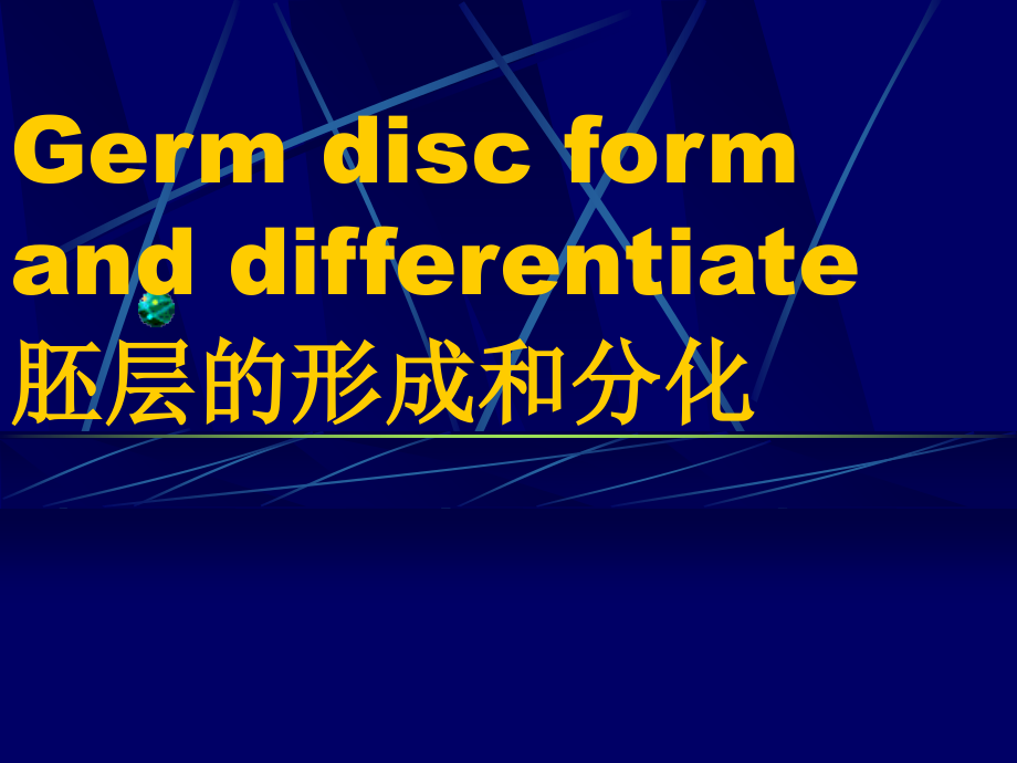 组织学与胚胎学-胚胎学2课件.ppt_第1页