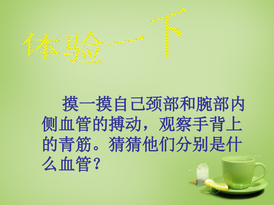 中学七年级生物下册 第四章 第二节 血流的管道—血管课件 (新版)新人教版 课件.ppt_第1页