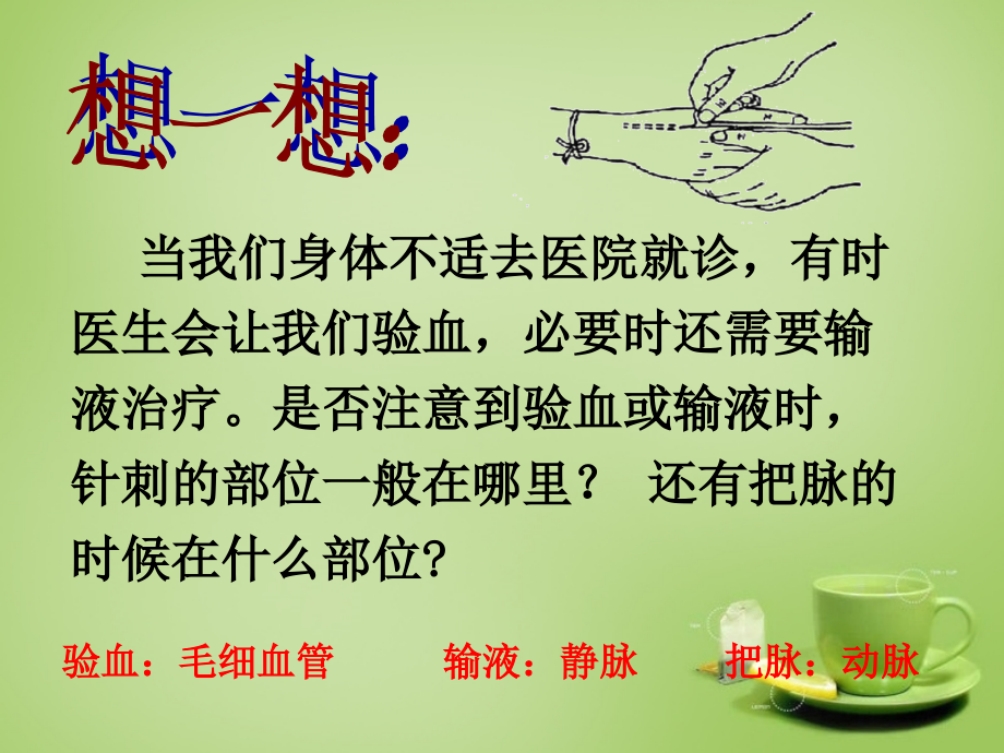 中学七年级生物下册 第四章 第二节 血流的管道—血管课件 (新版)新人教版 课件.ppt_第2页
