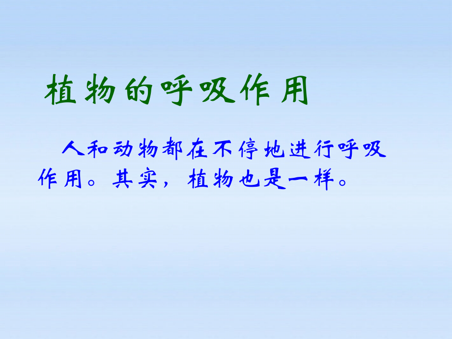 八年级生物下册 生物植物的呼吸作用课件 人教新课标版 课件.ppt_第1页