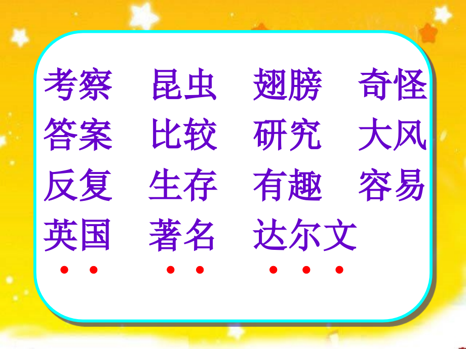 《趣的发现》教学课件.ppt_第2页