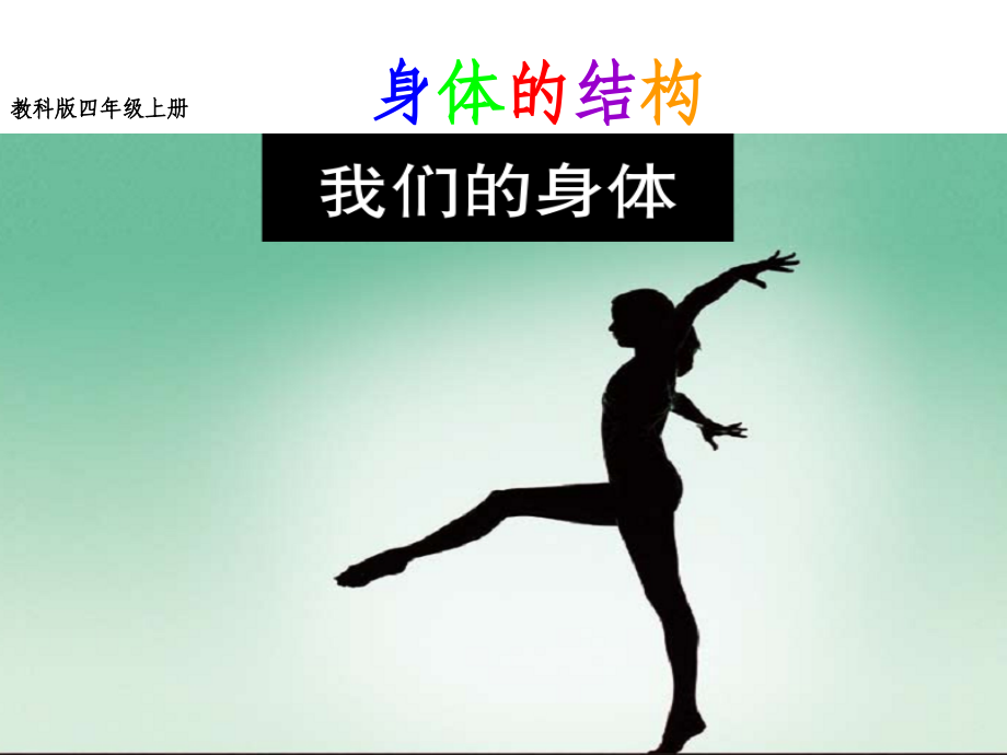 四年级上册身体的结构.ppt_第2页
