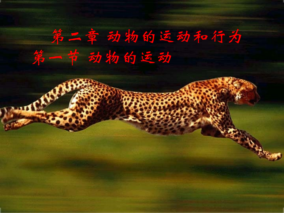 第一节《动物的运动》课件.ppt_第1页
