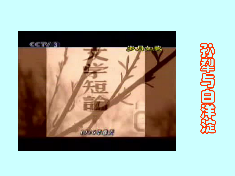 高一语文荷花淀 孙犁 课件.ppt_第2页