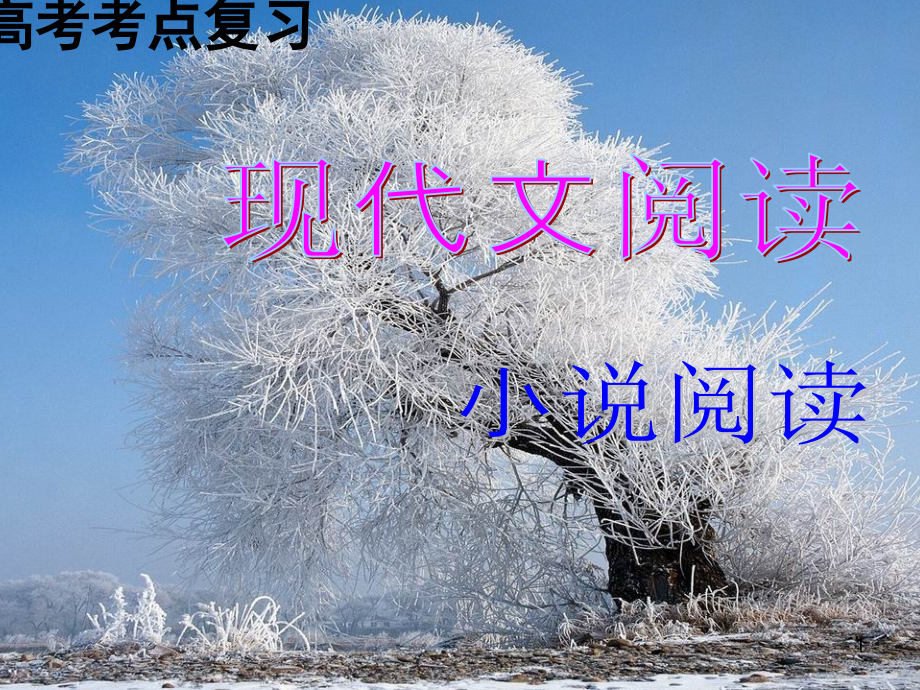 高三语文高考小说阅读鉴赏课件.ppt_第1页