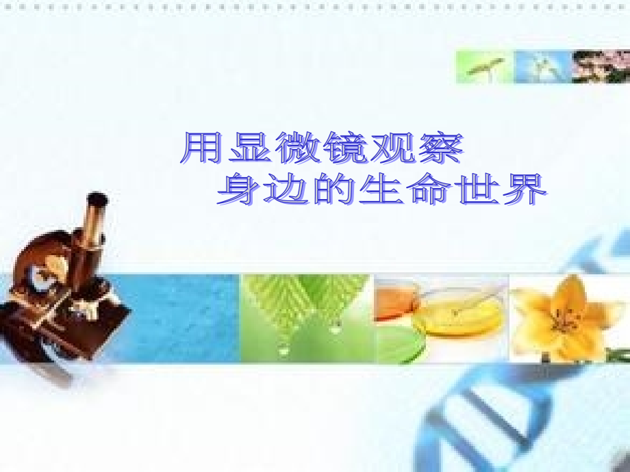 用显微镜观察身边的生命世界课件.ppt_第1页