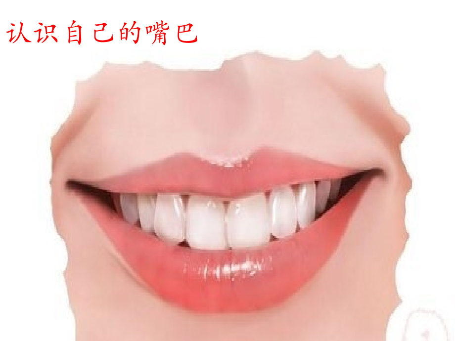 能干的嘴巴课件.pptx_第2页