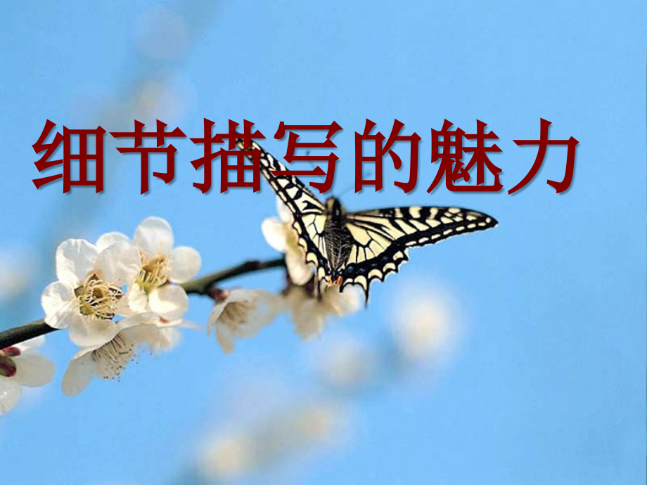 作文中如何细节描写.ppt_第1页