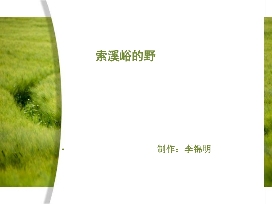 课件《索溪峪的野》.ppt_第1页