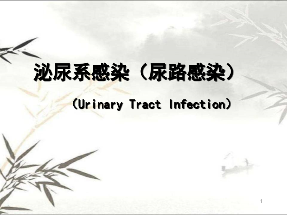 泌尿系感染(尿路感染)ppt课件.ppt_第1页