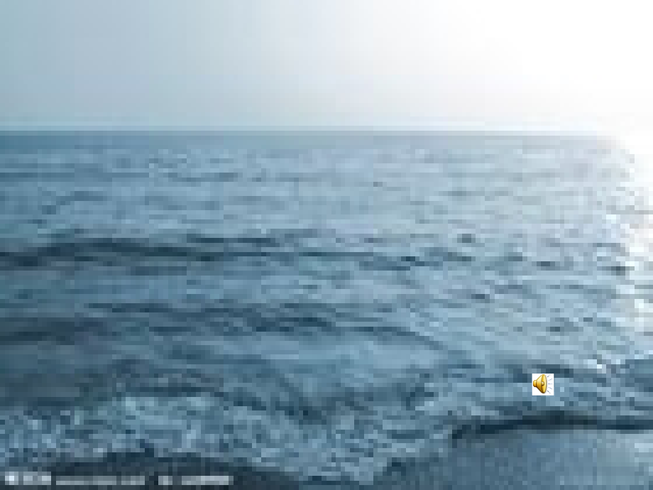 冬日看海人.ppt_第1页