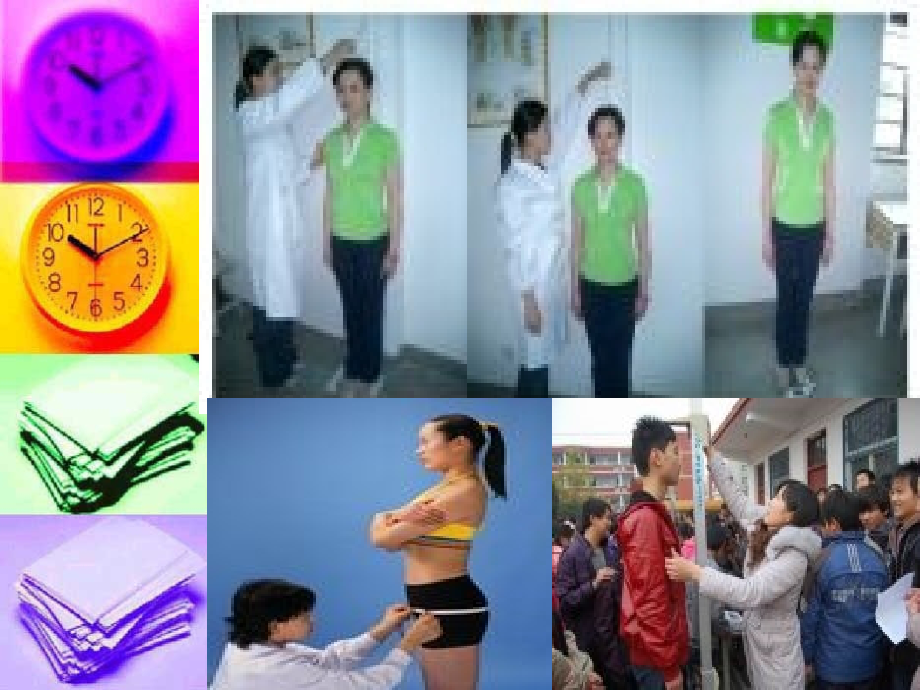 体育与身体形态.ppt_第2页