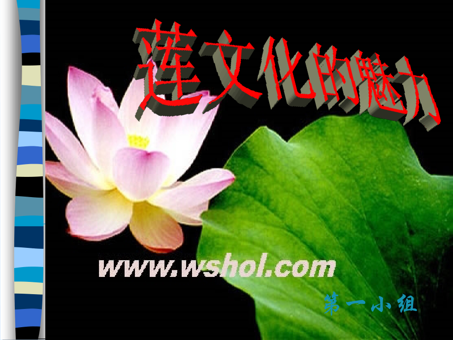 (莲文化的魅力)课件1 八年级语文上册第五单元(综合性学习莲文化的魅力)课件7套人教版 八年级语文上册第五单元(综合性学习莲文化的魅力)课件7套人教版.ppt_第1页