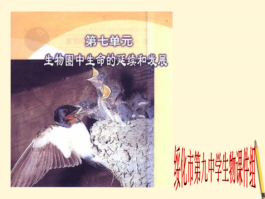 八年级生物(植物的生殖)课件课件.ppt_第1页