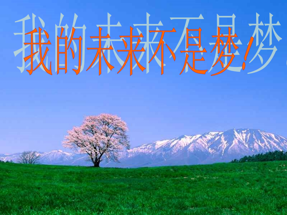 把握自己成功人生.ppt_第1页