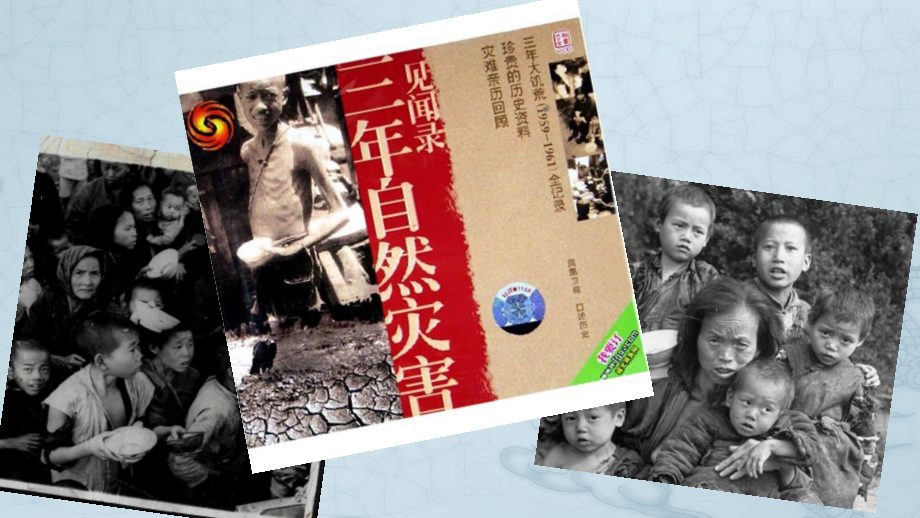 科学家的故事-袁隆平与杂交水稻.pptx_第2页