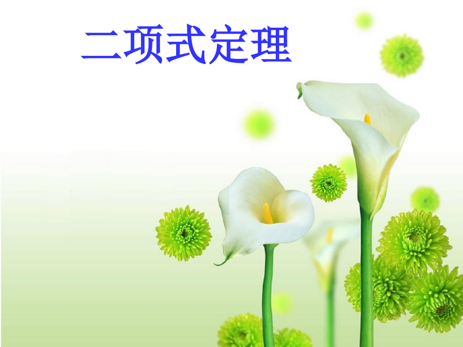 高三数学二项式定理复习课件.ppt_第1页