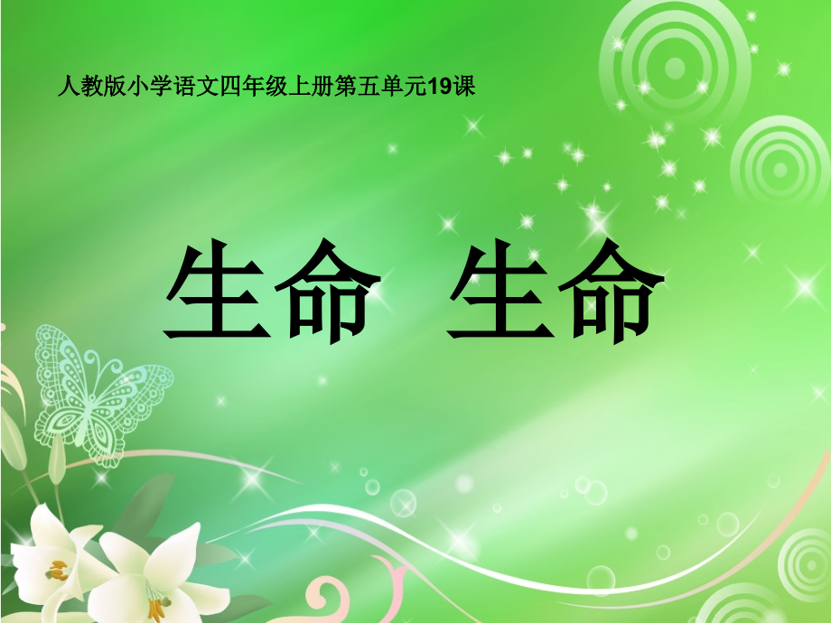 《生命生命》教学PPT.ppt_第1页