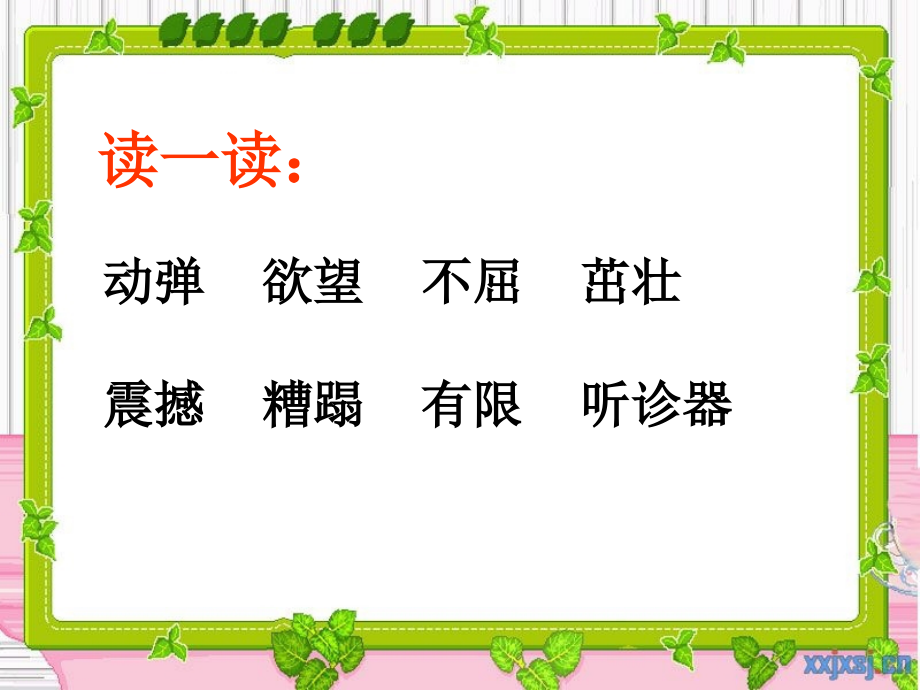 《生命生命》教学PPT.ppt_第2页