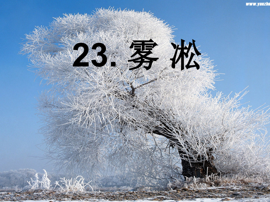 《雾凇》领讲课PPT.ppt_第1页
