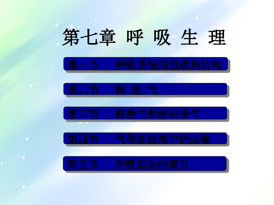 第七章呼吸系统的结构与功能.ppt_第1页