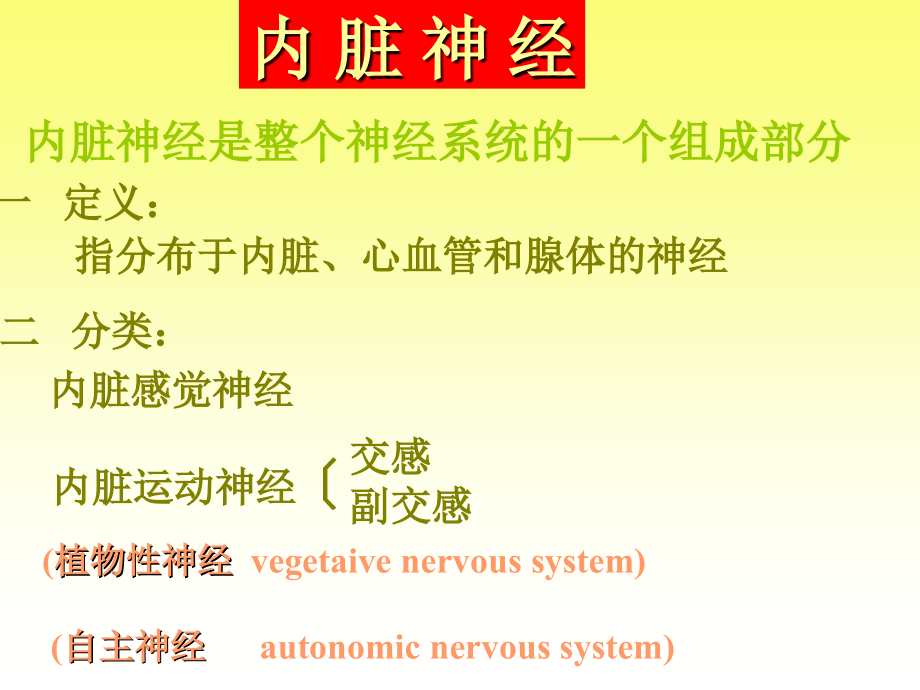 025周围神经系统内脏神经人体解剖学教学.ppt_第2页