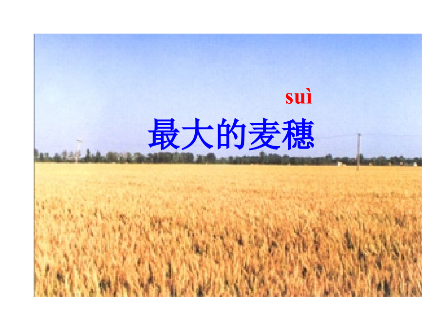 最大的麦穗-(3).ppt_第1页