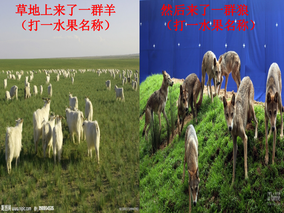 科学说课课件.ppt_第2页