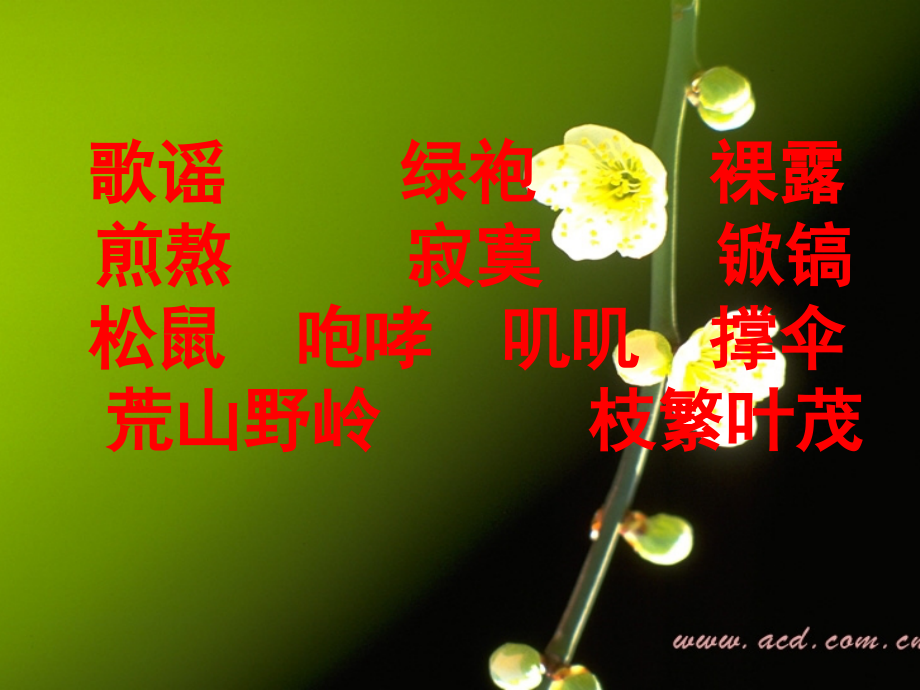 苏教版小学语文五年级春光染绿我们双脚.ppt_第2页