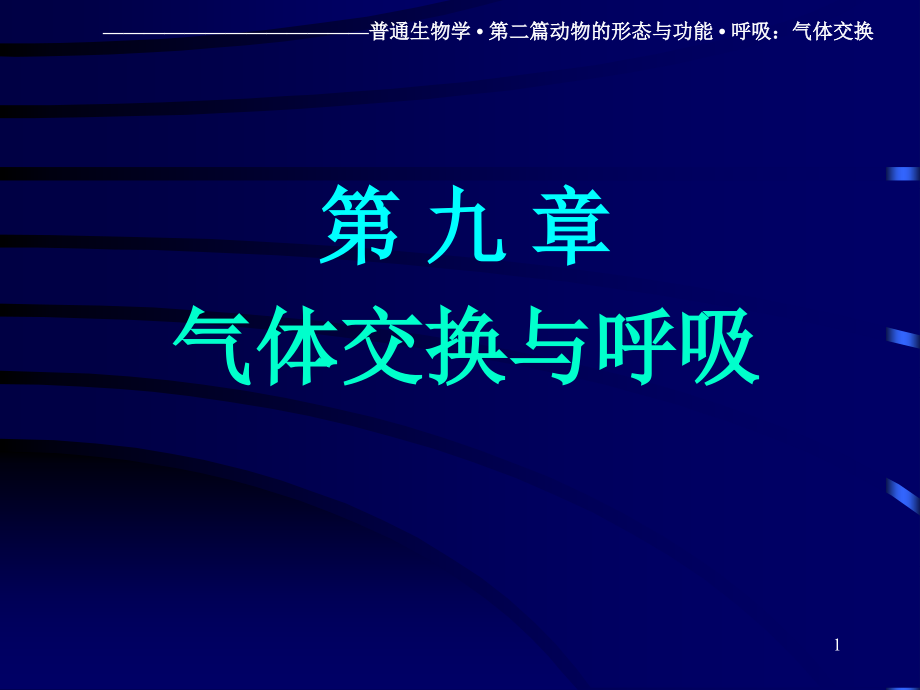 呼吸：气体交换课件.ppt_第1页