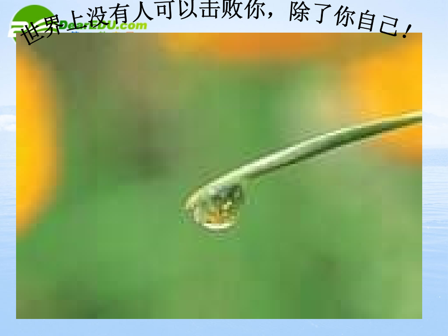 高中数学 22(二项分布及其应用)课件 新人教A版-选修2-3 课件.ppt_第2页