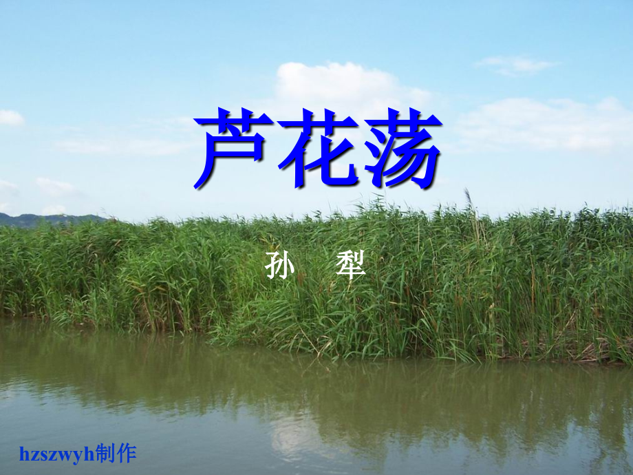 《芦花荡》教学课件.ppt_第1页