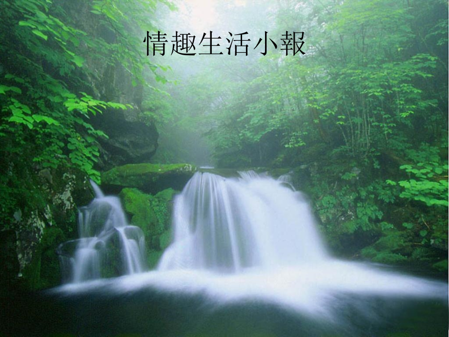 情趣生活小報.ppt_第1页
