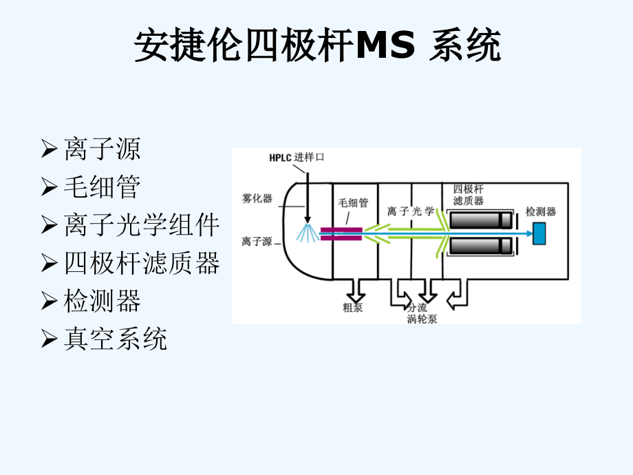 MS基本结构及工作原理.ppt_第2页
