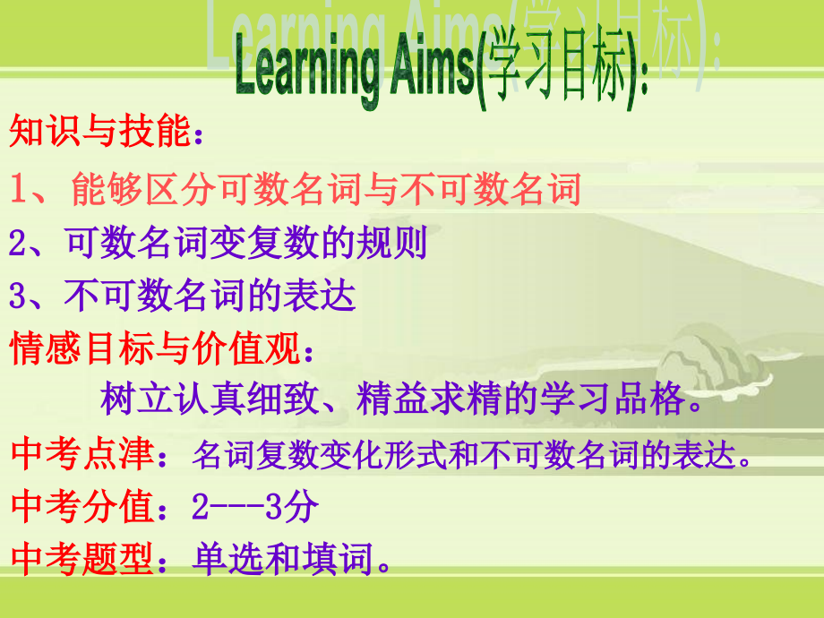 中考专项复习——名词课件.ppt_第2页
